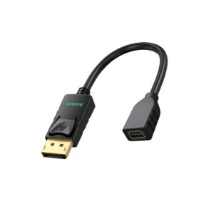DP To Mini DP Female Adapter | A809
